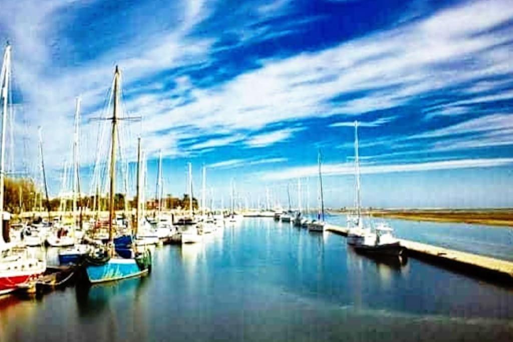 A Gaivota Ria Formosa Waterfront Lux Apart With Pool, Olhao, Algarve المظهر الخارجي الصورة