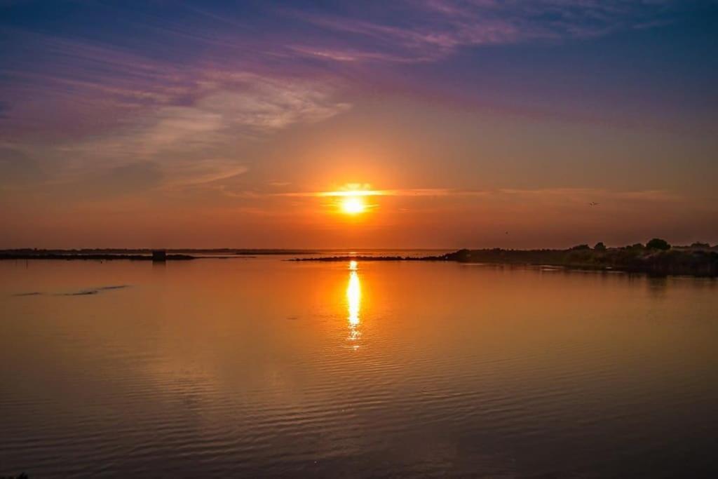A Gaivota Ria Formosa Waterfront Lux Apart With Pool, Olhao, Algarve المظهر الخارجي الصورة